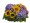 Admire - 5 Sun Flower + Hydrangea